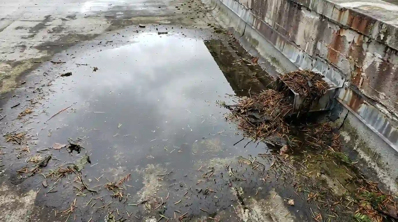 Ponding water beside a clogged scupper