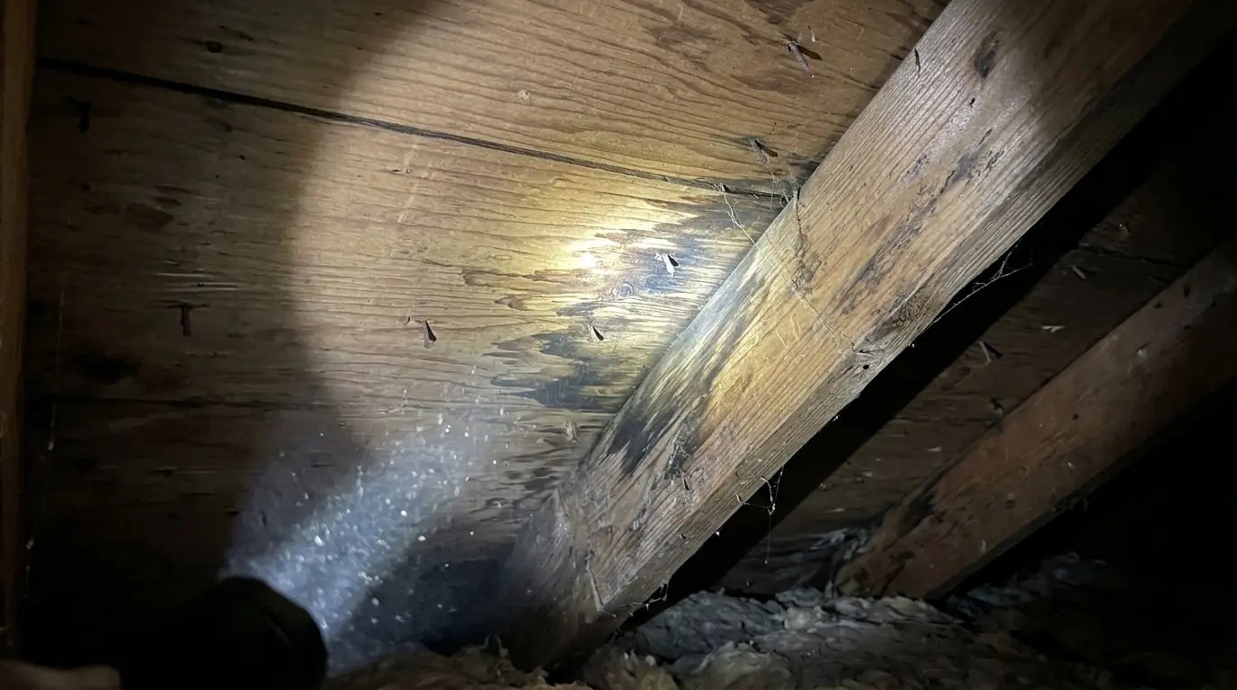 Water stain on attic sheathing
